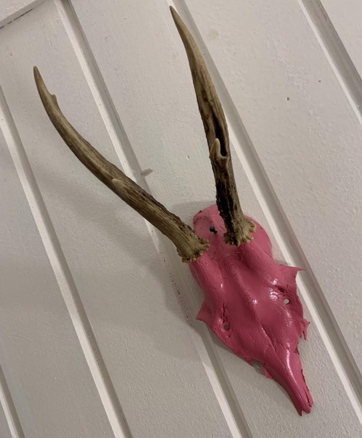 דירות הלשטאדט Pinkdeer מראה חיצוני תמונה